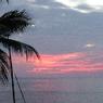 DSCF0523