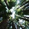 bigbasin