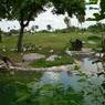DSCN0824