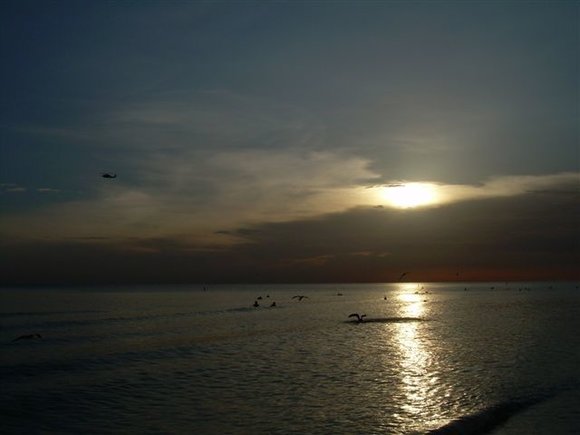 DSCN0857