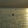 Sunset_ReddingtonBch