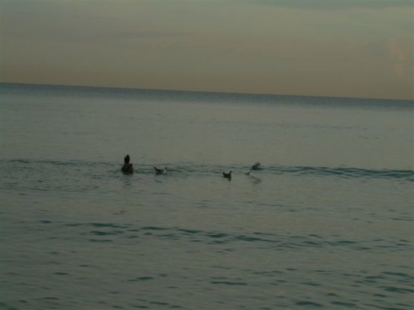 DSCN0860