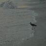 Sunset_ReddingtonBch