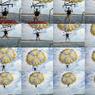 Parasailing