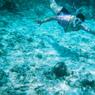 snorkel
