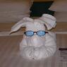 cruise_09