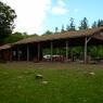 ScoutCamp_07